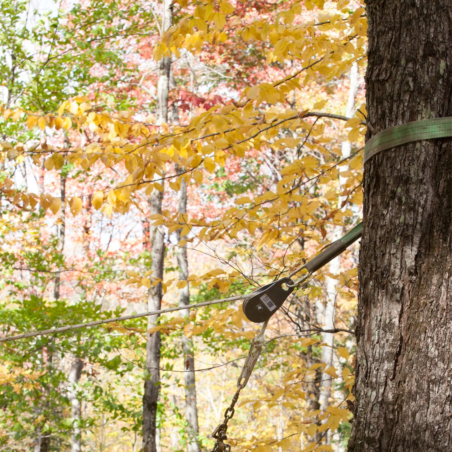 Portable Winch GX50 Gas Powered Pulling Winch